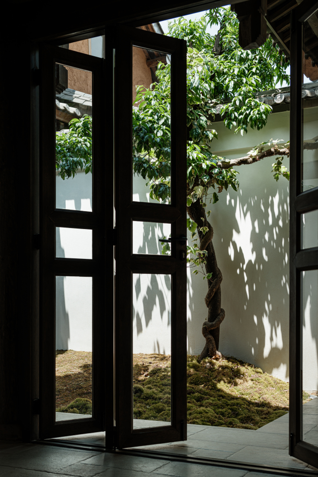 DSCF6716.jpg